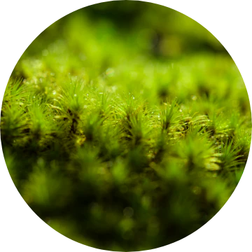 Hydra Setting Powder - Image 19