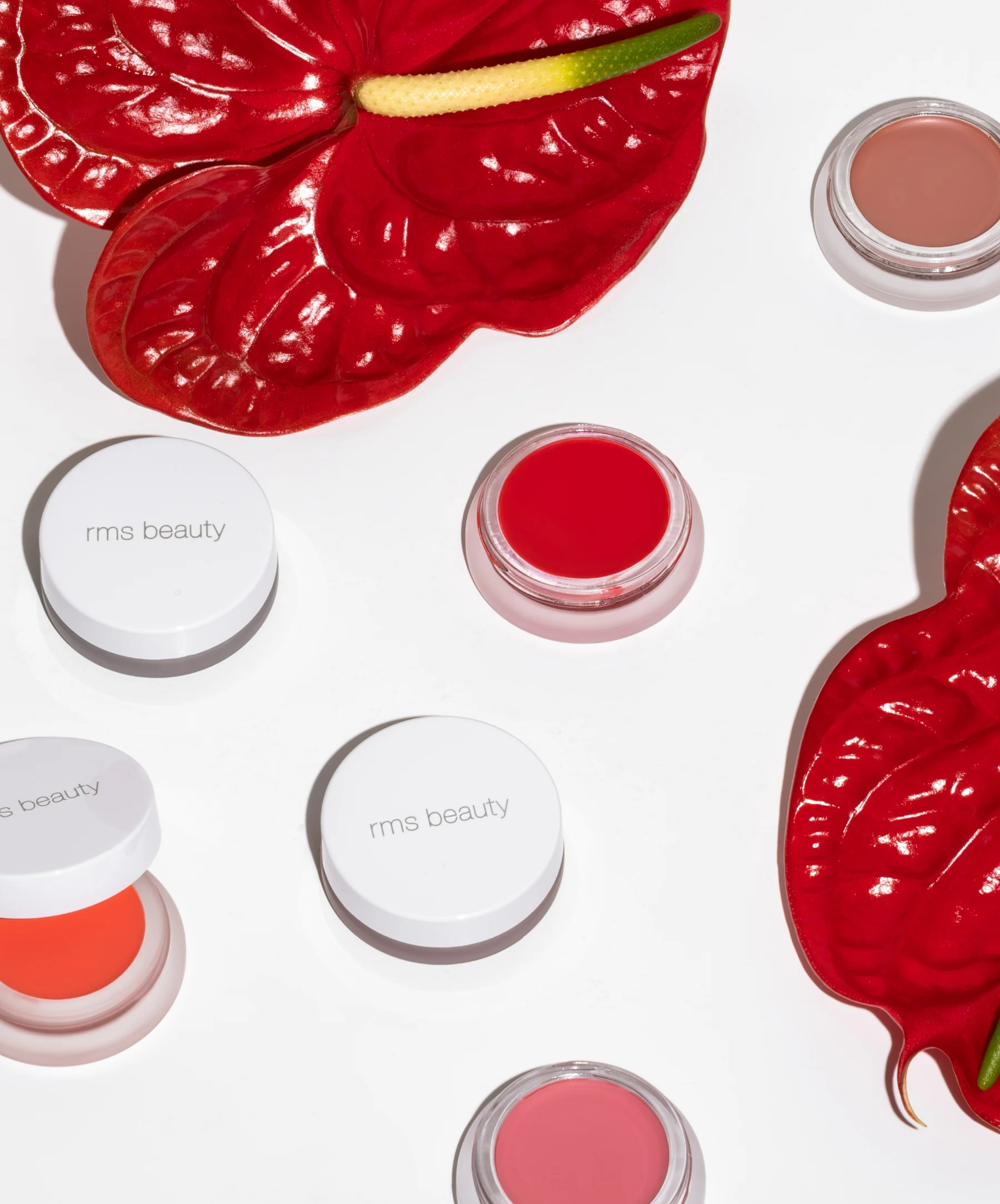 Lip2Cheek - Image 11